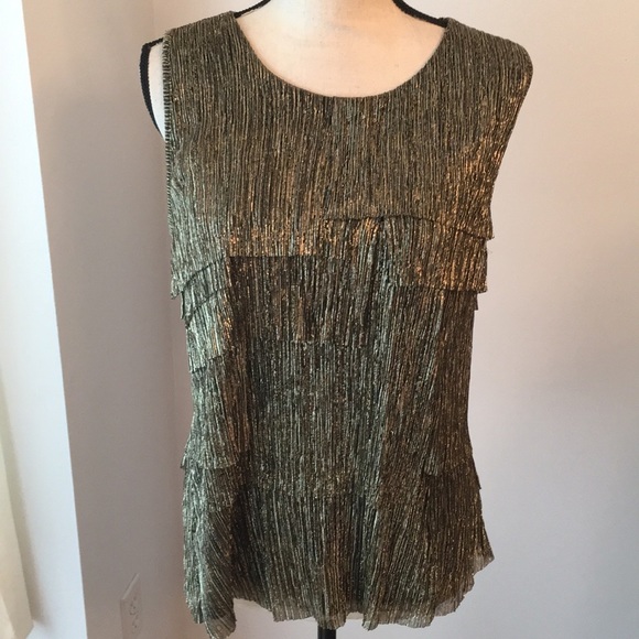 Christopher & Banks Tops - NWT Large Christopher  & Banks shimmering top